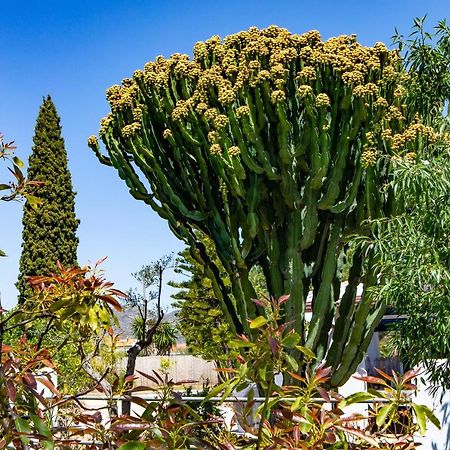 The Palms Boutique Resort Malaga - Adults Only Alhaurín de la Torre Zewnętrze zdjęcie