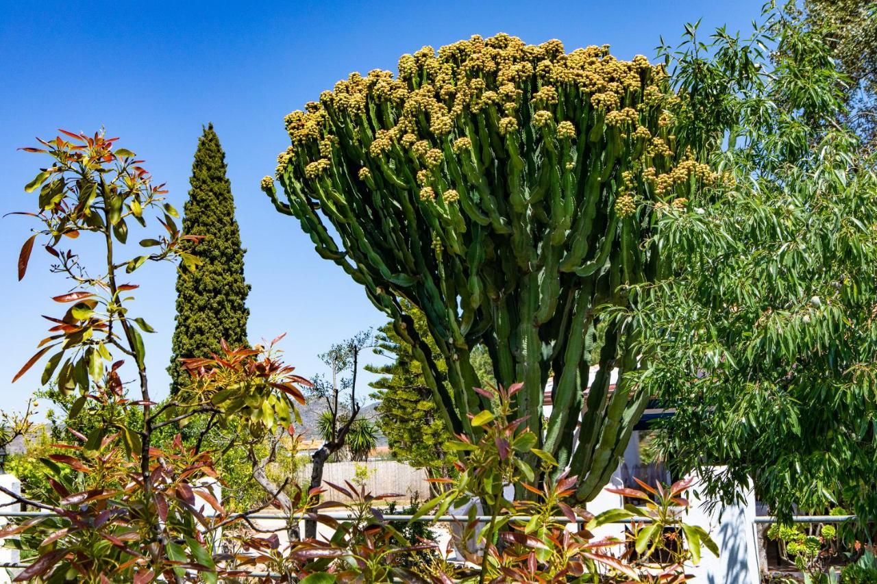The Palms Boutique Resort Malaga - Adults Only Alhaurín de la Torre Zewnętrze zdjęcie
